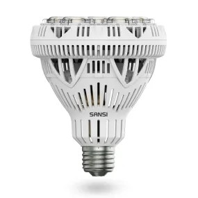 BR30 30W LED Light Bulb(US ONLY)