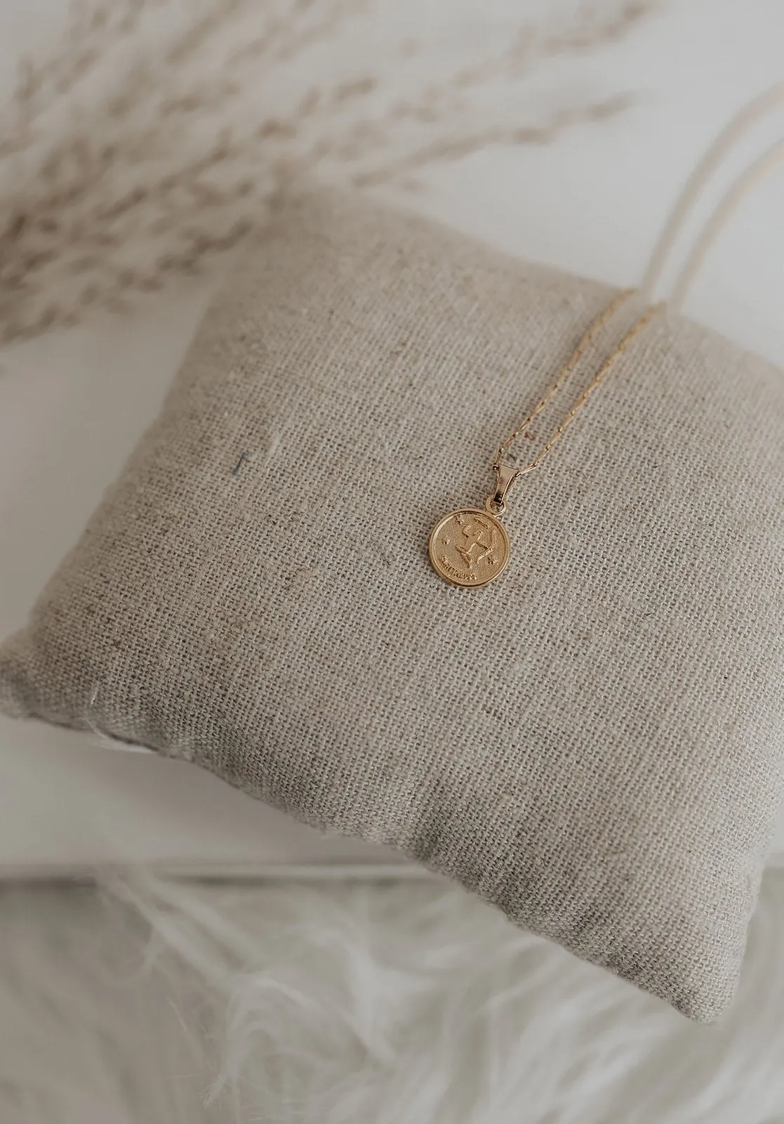 Tiny Zodiac Medallion Necklace