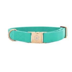 Tropical Green Collar