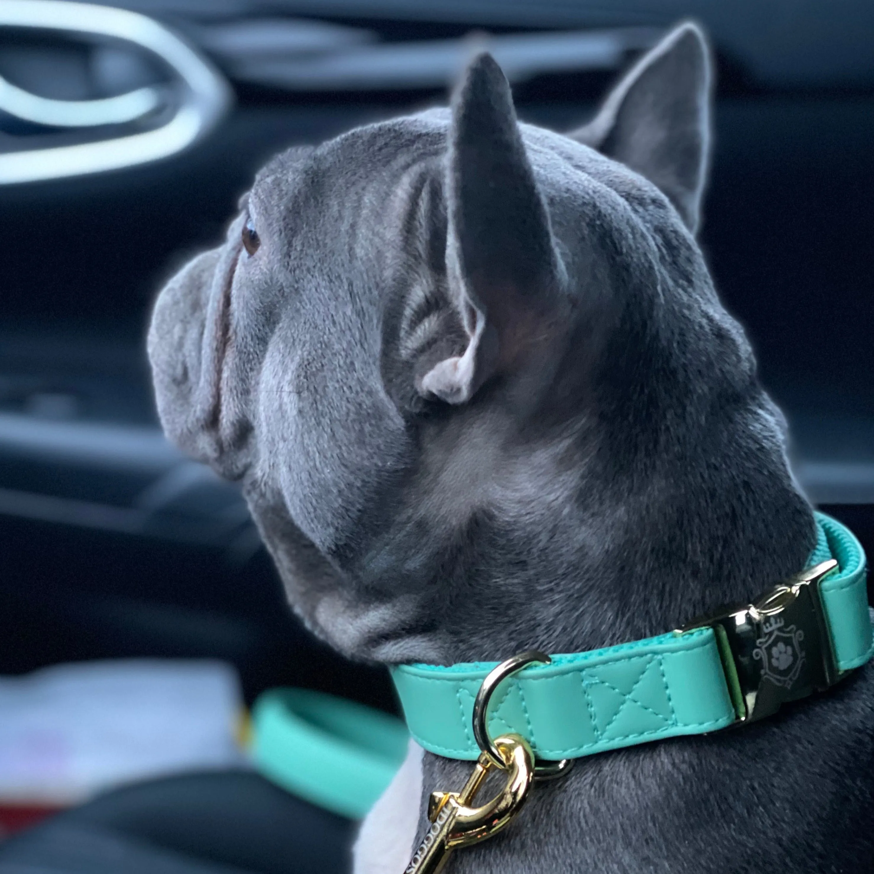 Tropical Green Collar