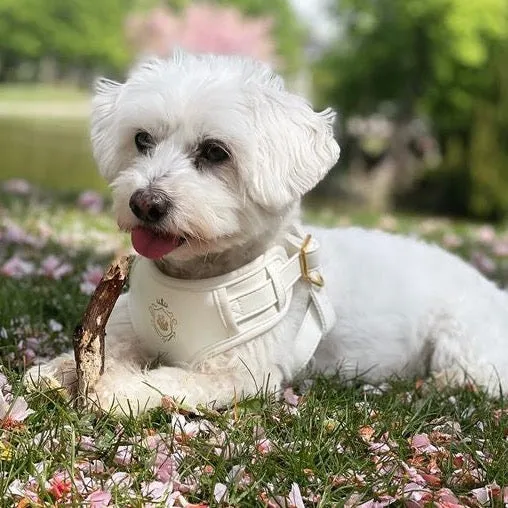 White Pearl Harness